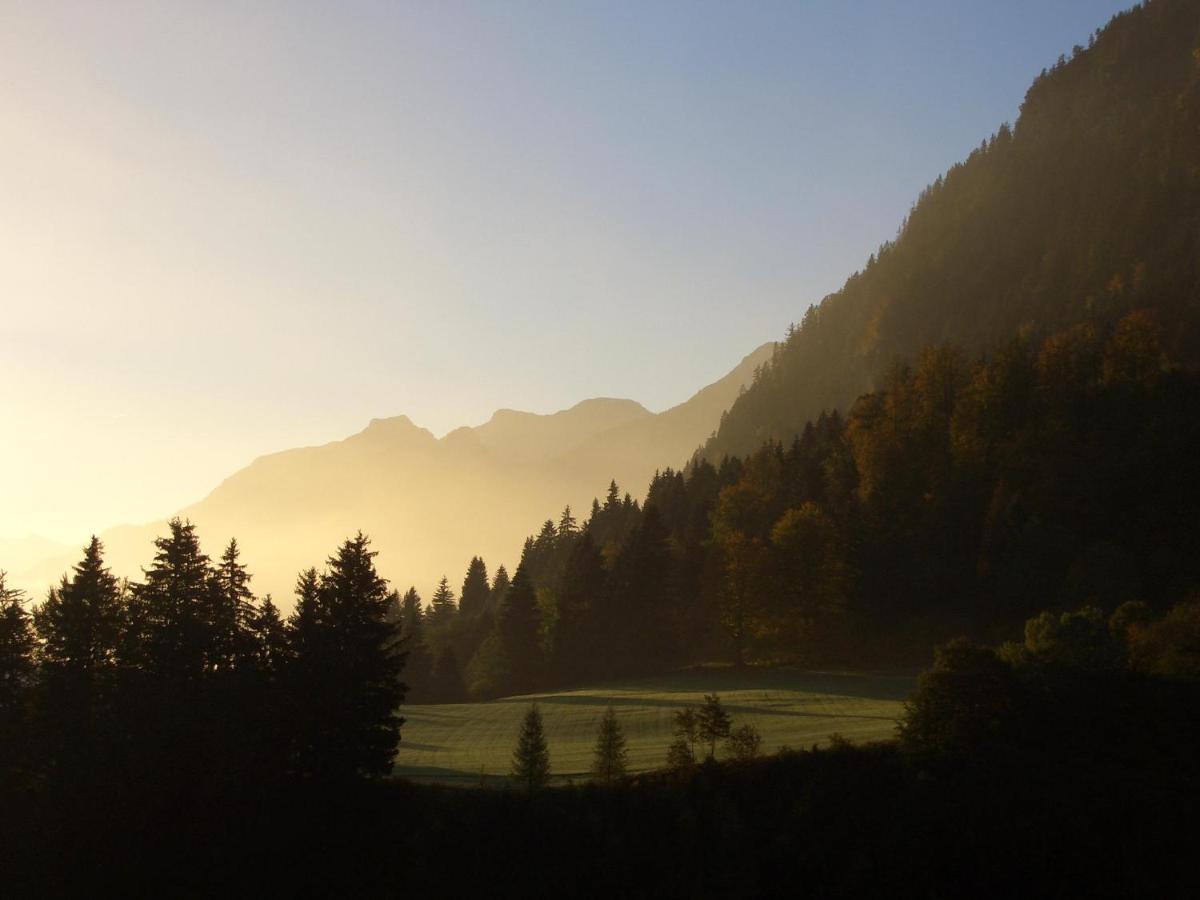 プフロンテンChalet Edelweissアパートメント エクステリア 写真