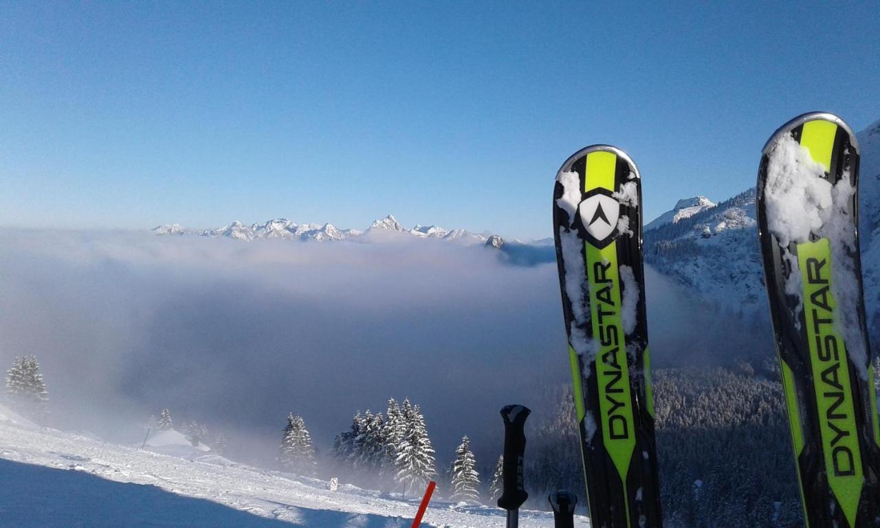 プフロンテンChalet Edelweissアパートメント エクステリア 写真